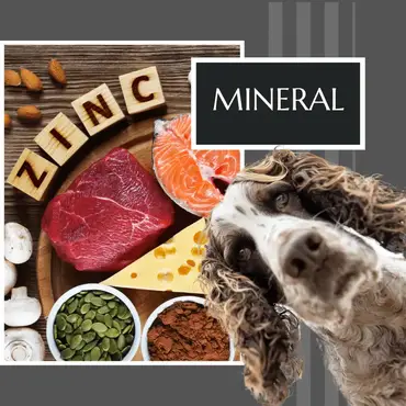 what does zinc do for dogs