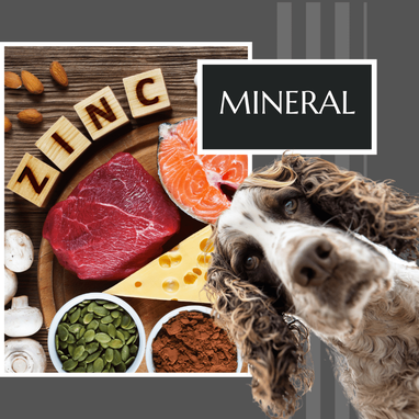 what are the symptoms of zinc deficiency in dogs