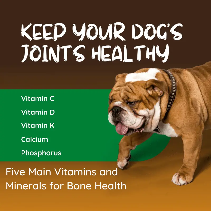 TEXT - keep dogs joints healthy - vitamins listed and a dog