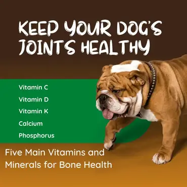 what is good for dogs bones