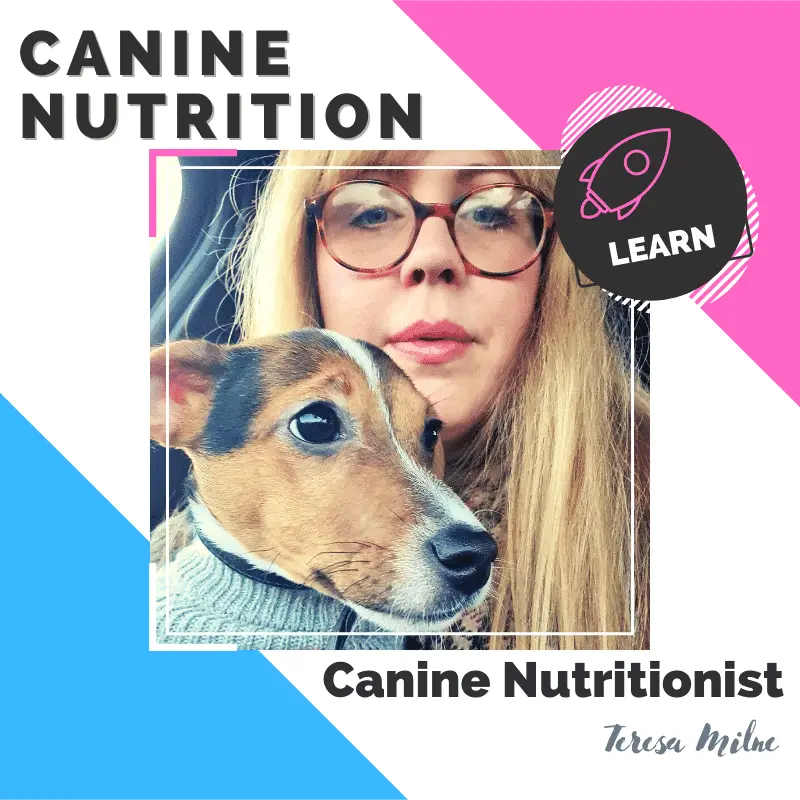 Albert the dog and canine nutritionist Teresa Milne