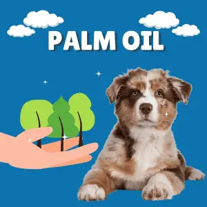palm oil and a dog