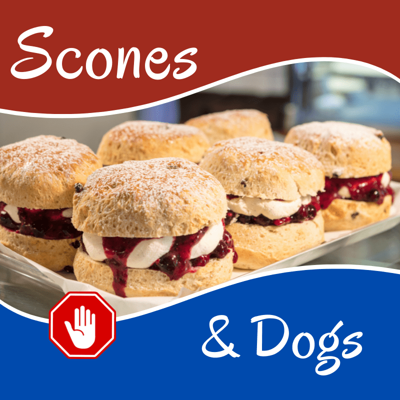six scones and text - scones and dogs
