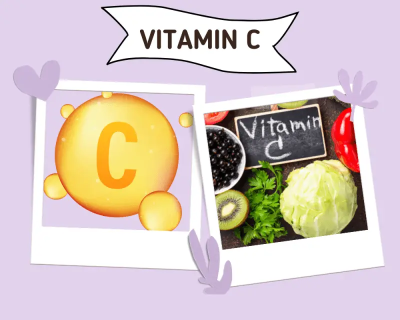 Vitamin C for dogs
