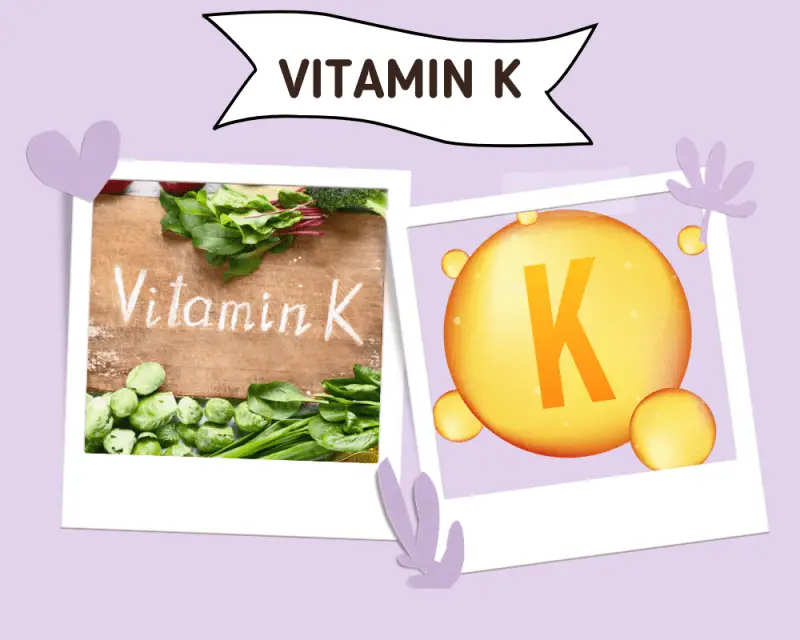 Vitamin K for dogs