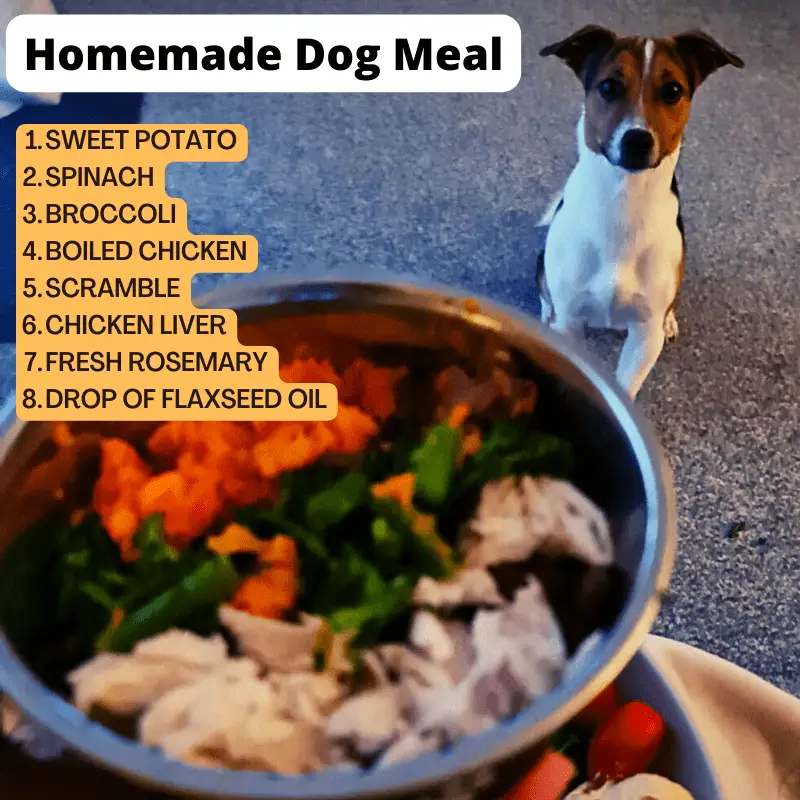 A bowl of homemade dog food, and a dog waiting to eat it. listed ingredients are sweet potato, spinach, broccoli, scramble, chicken liver, fresh rosemary, drop of flax-seed oil 