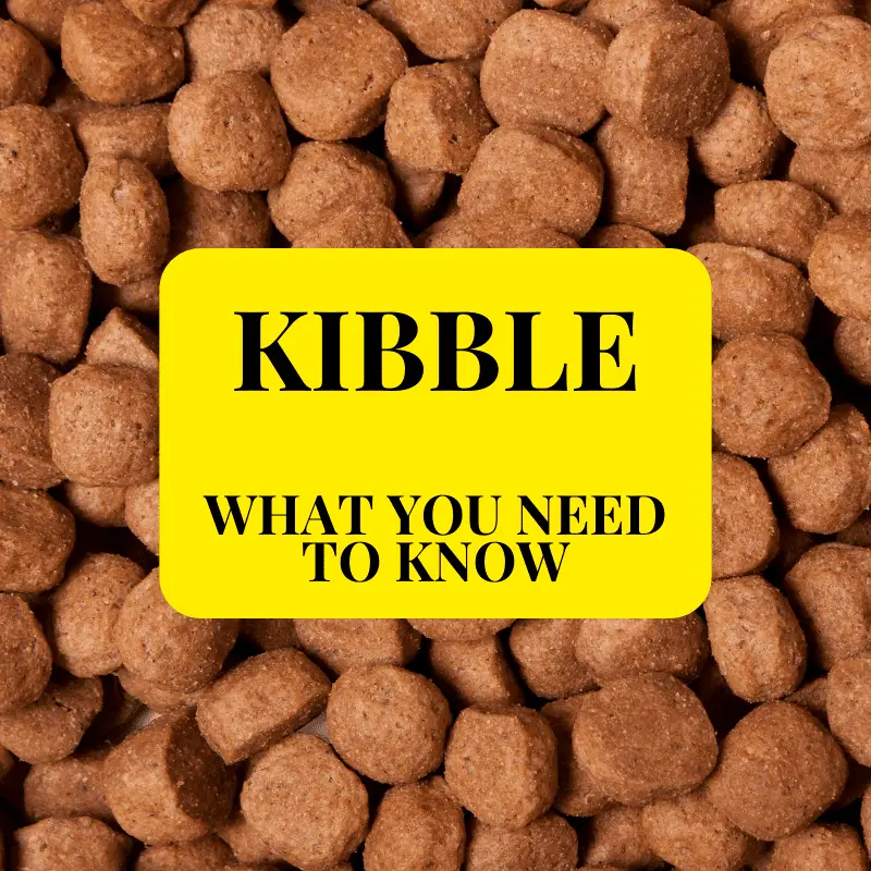 kibble and text: what you need to know