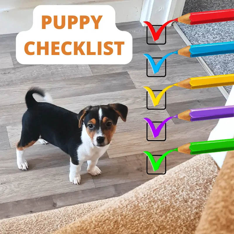 Puppy and a checklist