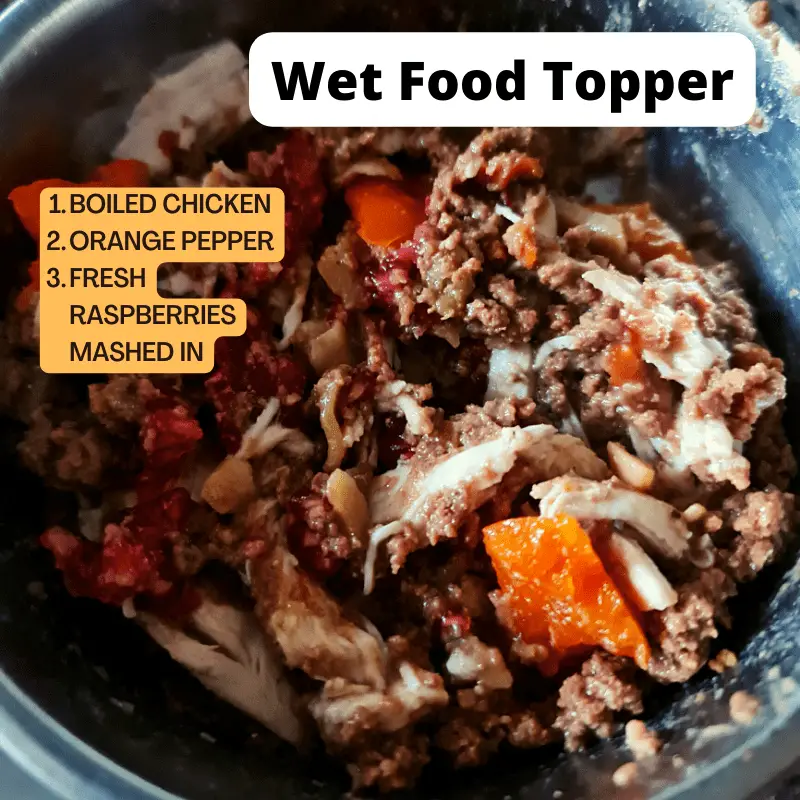 Wet food topped with healthy food extras
