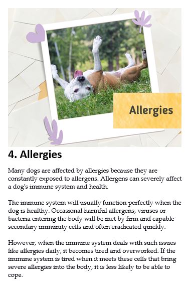 Chapter 4 Allergies text preview