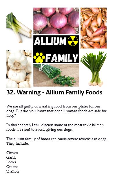 Chapter 32 Allium Family food preview text