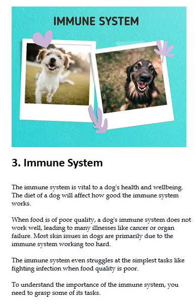 Immune System preview text of chapter