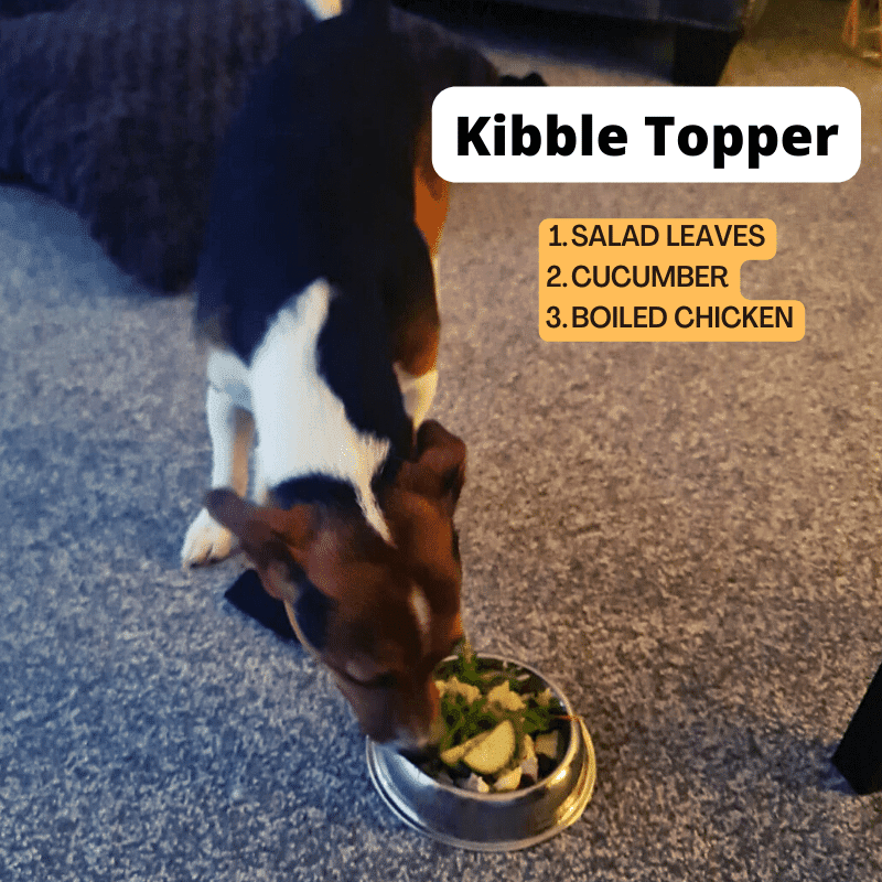 Kibble fresh food topper example