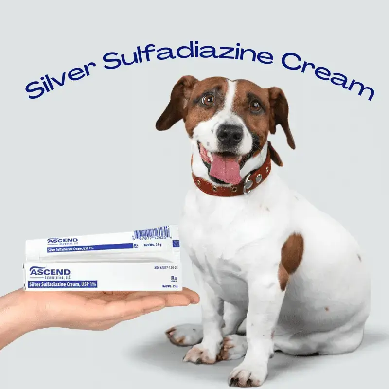 what antibiotic cream is safe for dogs