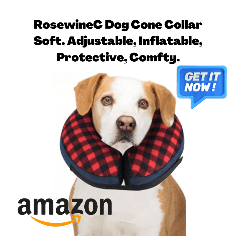 Dog cone collar, safety. Keeps dogs away from open wounds