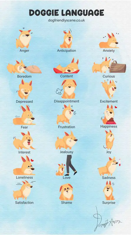 cartoon dogs each representing and acting out a range of emotions