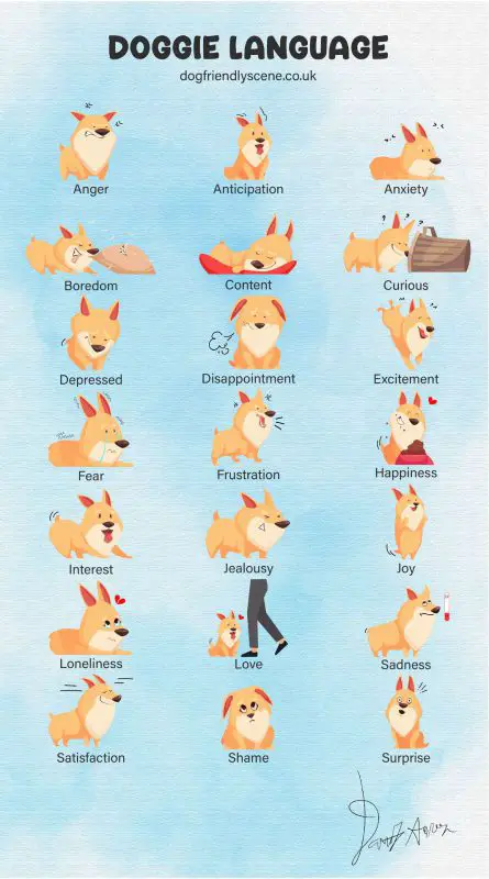 Dog language in image