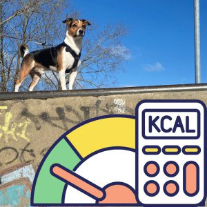 a dog and a cartoon KCAL calculator