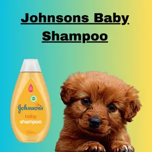 a bottle of Johnsons Baby Shampoo and a brown puppy