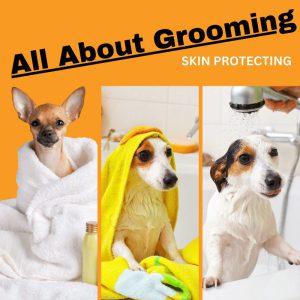 3 dogs getting washed