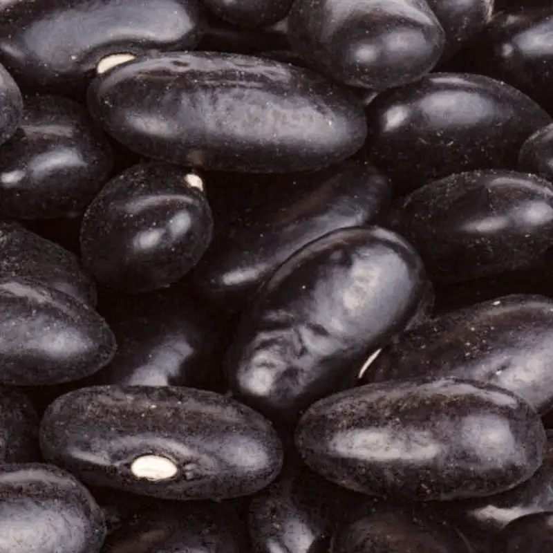 Close up image of black beans