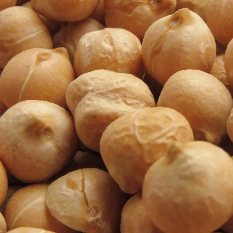 A close up shot of chickpeas