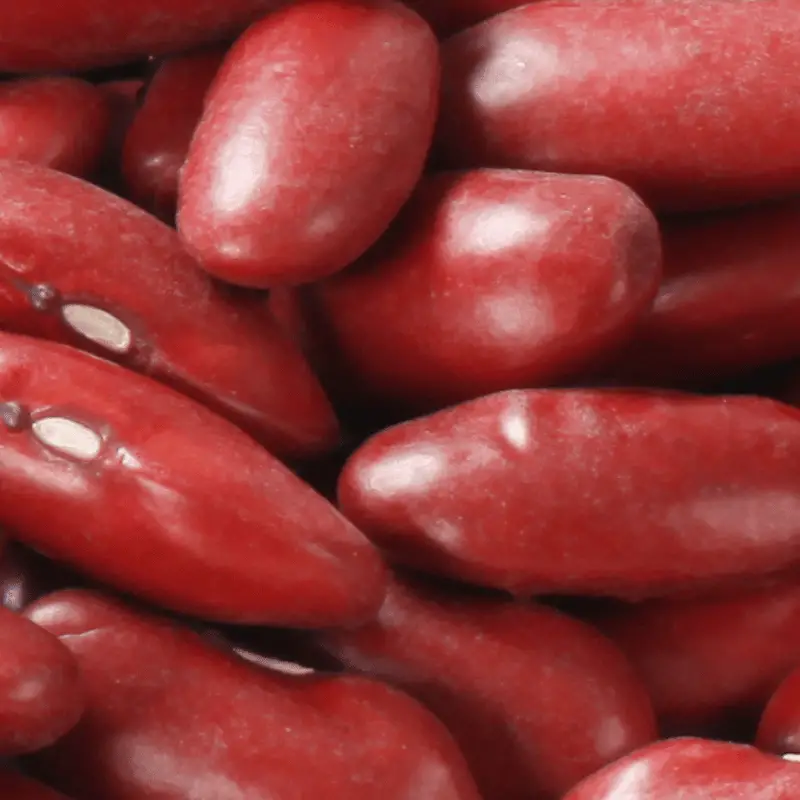 Close up of kidney beans