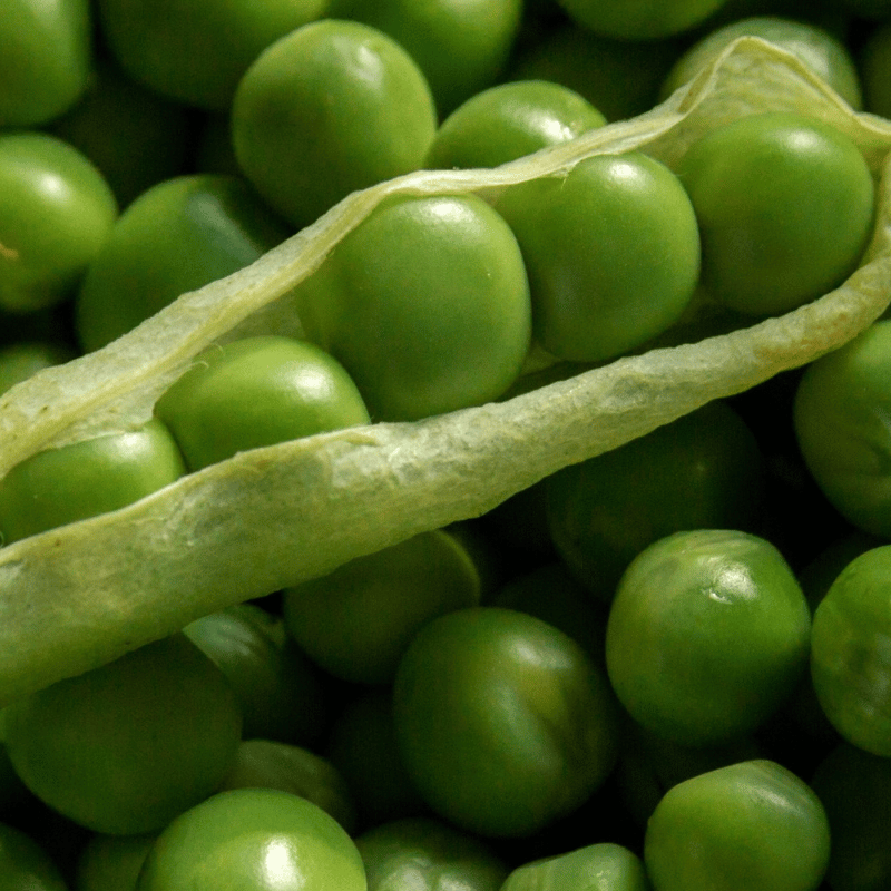 close up of peas