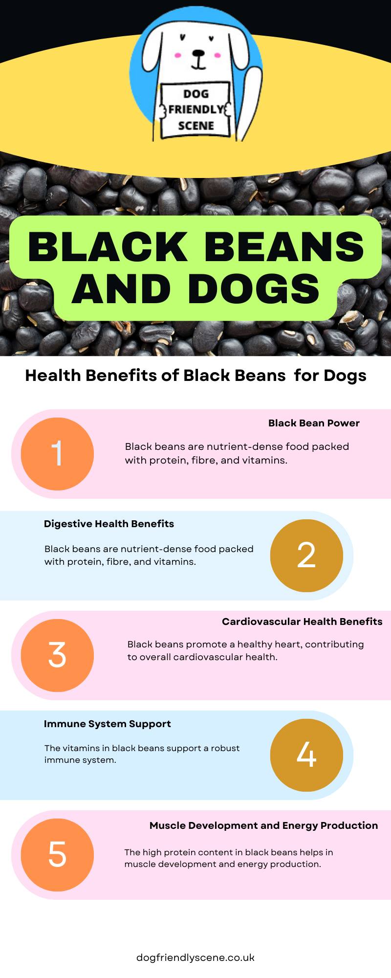 Can Dogs Eat Black Beans? Health Benefits and Precautions Dog