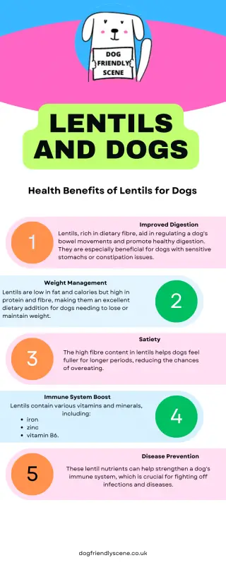 Infographic explains the health benefits of lentils for dogs