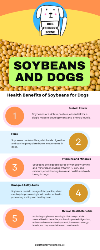 Infographic explaining about the health benefits of soybeans for a dog