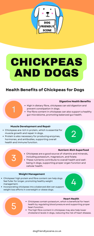 Infographic explaining the health benefits of chickpeas for dogs
