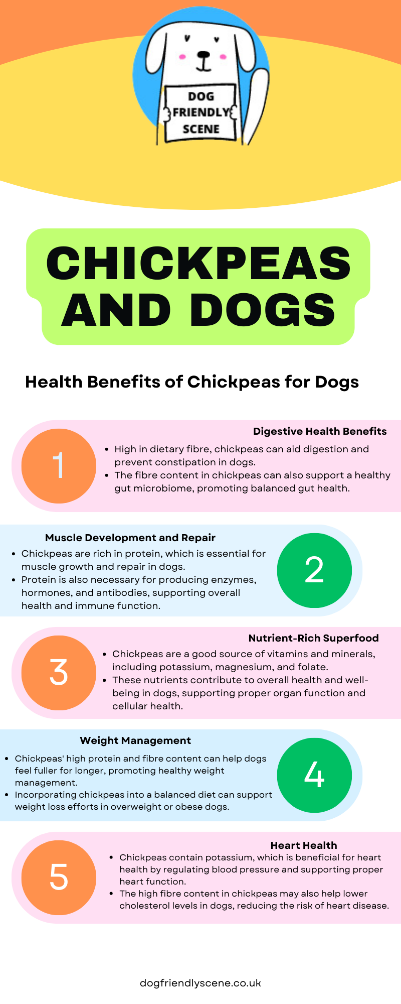 Can Dogs Eat Chickpeas? Health Benefits and Precautions Dog Friendly