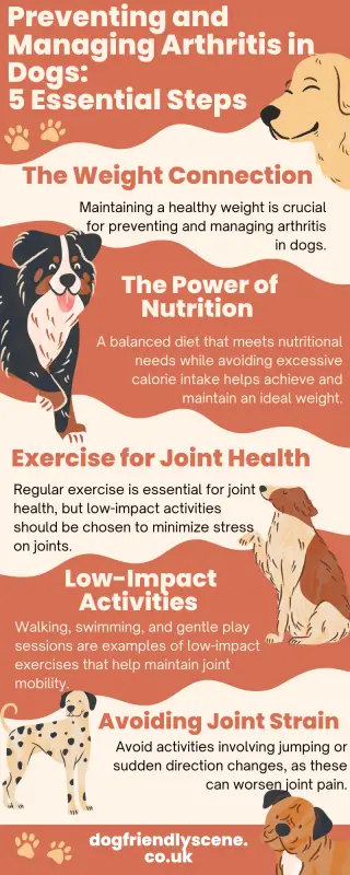 A visually appealing infographic with 5 important points for preventing and managing arthritis in dogs. The sections include maintaining a healthy weight, choosing a balanced diet, incorporating regular exercise, focusing on low-impact activities, and avoiding joint strain.