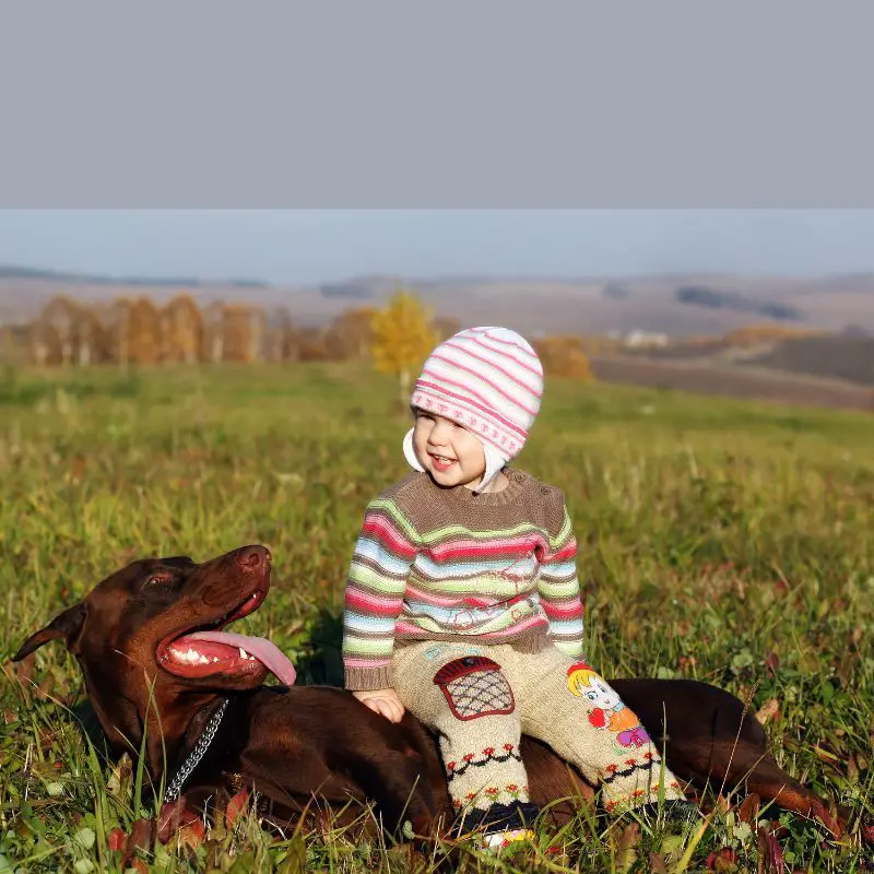 A happy girl sitting on a Dobermann which is laying down being happy and friendly