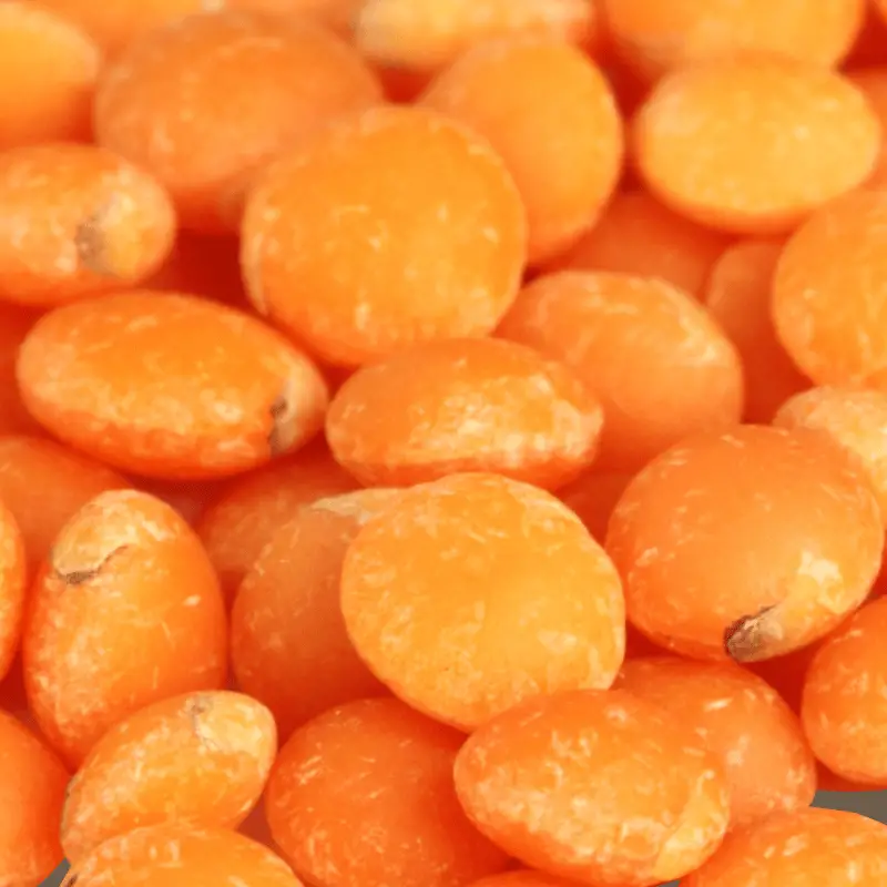 A close up image of lentils