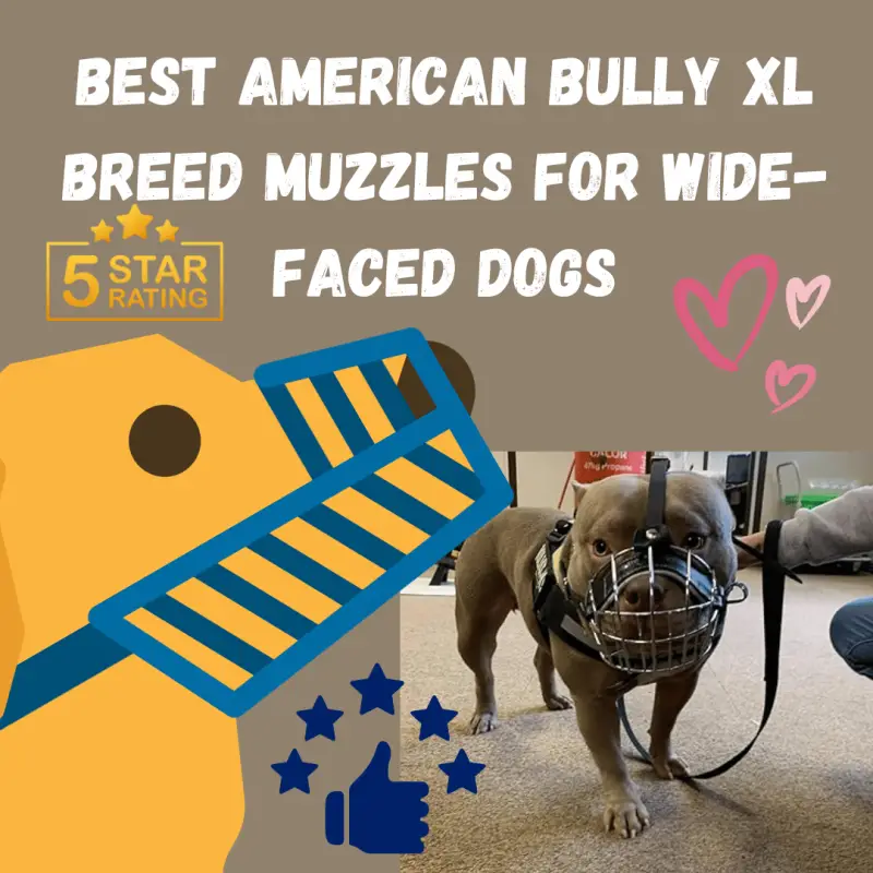 American Bully XL Breed Muzzles for Wide-Faced Dogs: feature image dog with muzzle and cartoon dog and stars, hearts