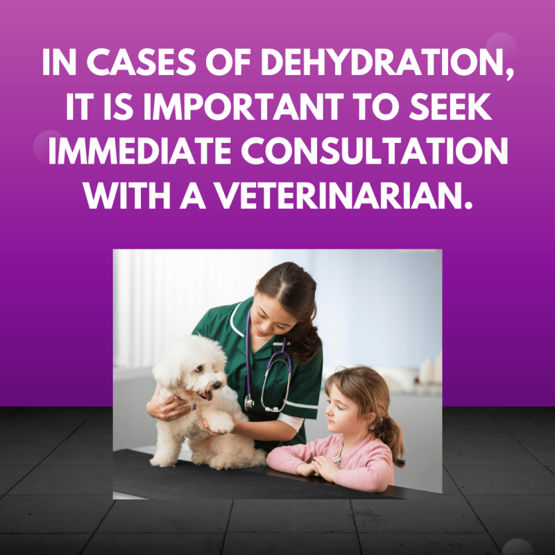 A veterinarian examining a dehydrated dog. Text: In cases of dehydration, it is important to seek immediate consultation with a veterinarian.