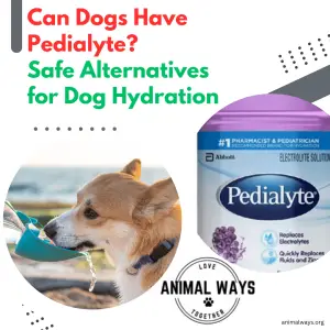 an image of a dog with a water, and a bottle of pedialyte: text: Can Dogs Have Pedialyte? Safe Alternatives for Dog Hydration