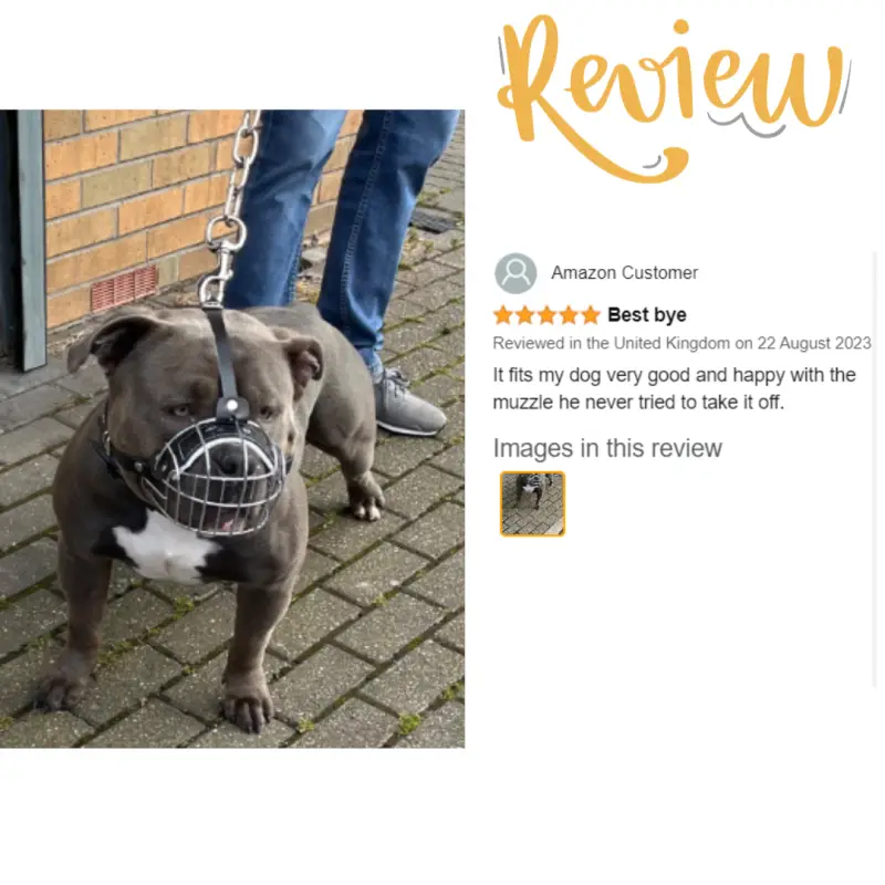 an important review, a very good muzzle perfect for a American XL Bully dog