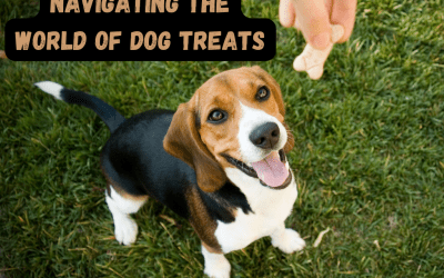 Navigating the World of Dog Treats: What to Look for and What to Avoid