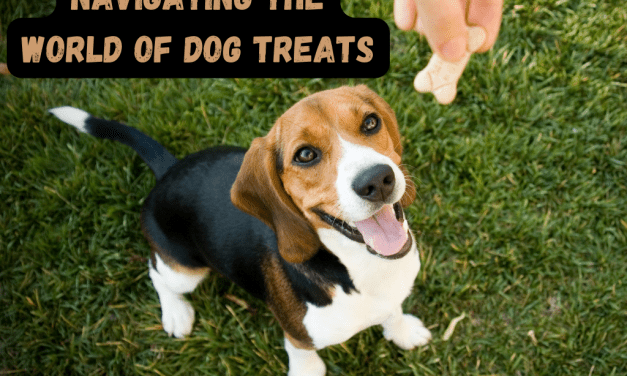Navigating the World of Dog Treats: What to Look for and What to Avoid