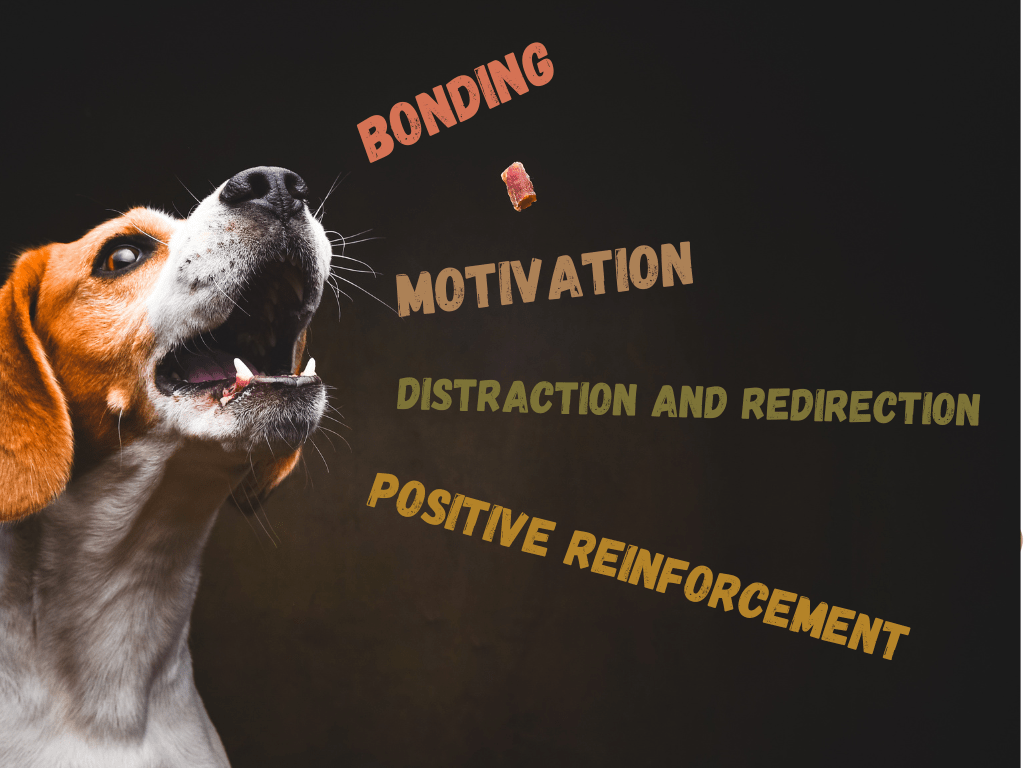 a dog and text stating how treats should be used, TEXT: bonding, motivation, distraction and redirection, positive reinforcement
